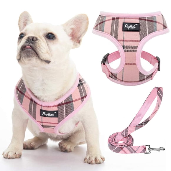 Conjunto de arnés y correa para perros, chaleco cómodo de malla suave PUPTECK