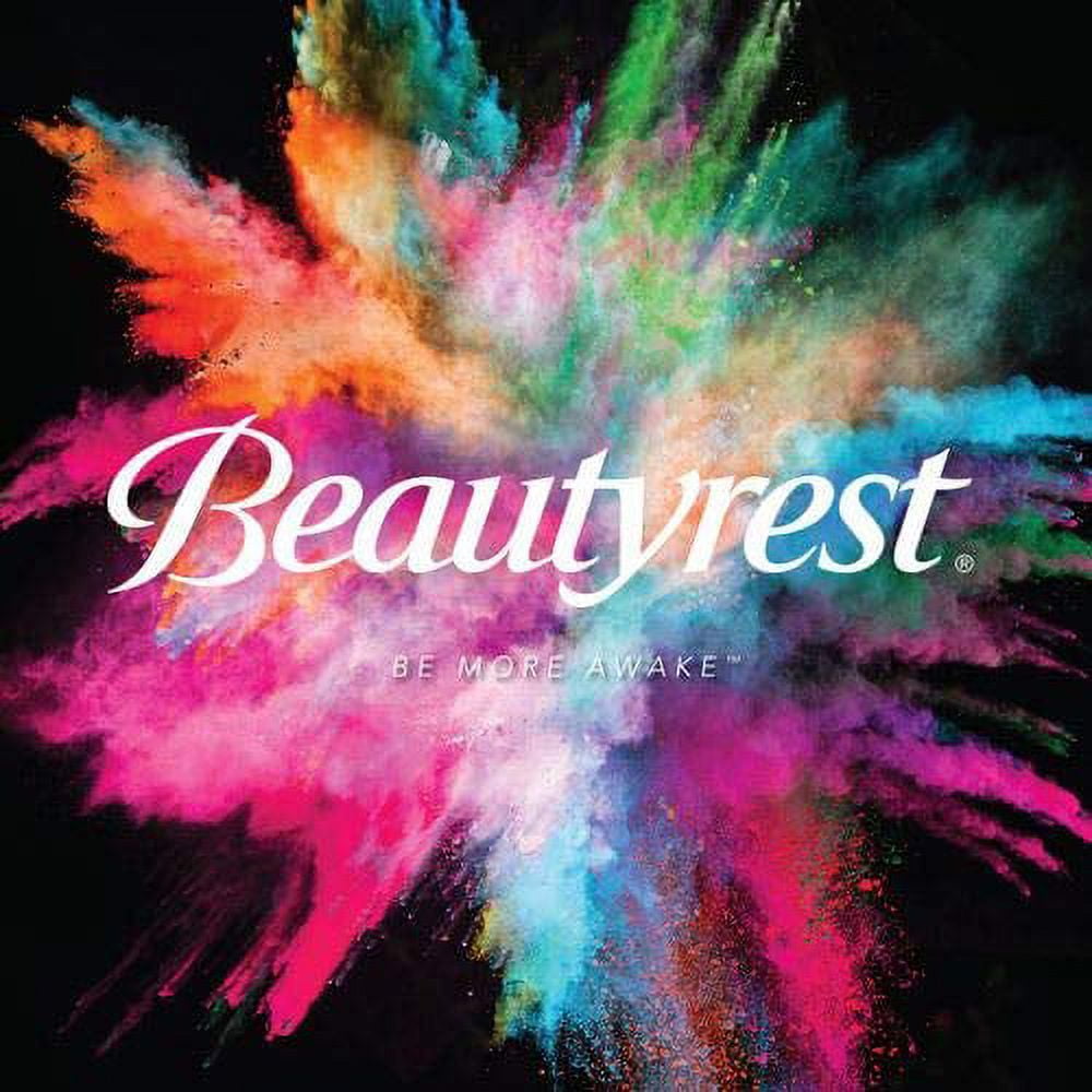 Beautyrest Black Luxurious Down Alternative Pillows (King Size) 2-Pack Dream-Loft Fiber