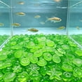 thumbnail image 4 of SouMaox Artificial Starfish Sea Shells Aquarium Decor, Glowing Stones for Fresh Water Saltwater Tank, Luminous Night Light Decor, 0.59" Green, 4 of 6