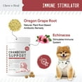 thumbnail image 6 of Chew + Heal UTI Treatment Cranberry Chews for Dogs - 120 Treats - Supports Healthy Urinary Tract and Bladder Function - Corrects Imbalances - With Echinacea and Vitamin C - Made in the USA, 6 of 8