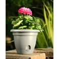 thumbnail image 2 of Bloem LP0860 8" Pepper Lucca Planter, 2 of 8