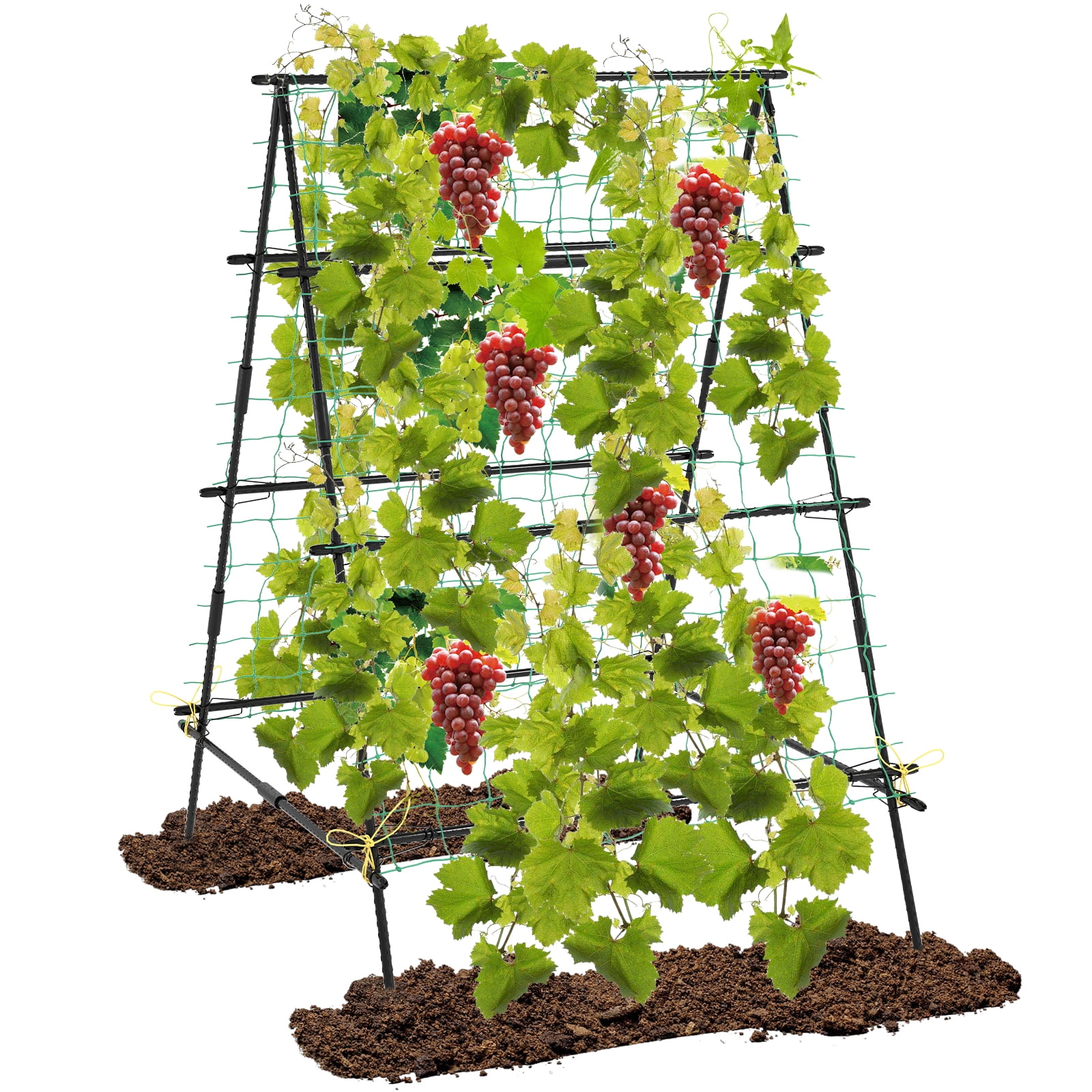 Patiojoy Cucumber Trellis for Plant Climbing Foldable Garden Tunnel Trellis w/ Plastic Coated Tube Trellis Net, Adjustable Auxiliary Clips