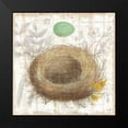 thumbnail image 2 of Hershey, Moira 15x15 Black Modern Framed Museum Art Print Titled - Botanical Nest II, 2 of 5
