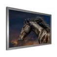 thumbnail image 2 of Designart 'Close Up Of Thoroughbred Nonius Stallion Horse III' Farmhouse Framed Art Print, 2 of 4