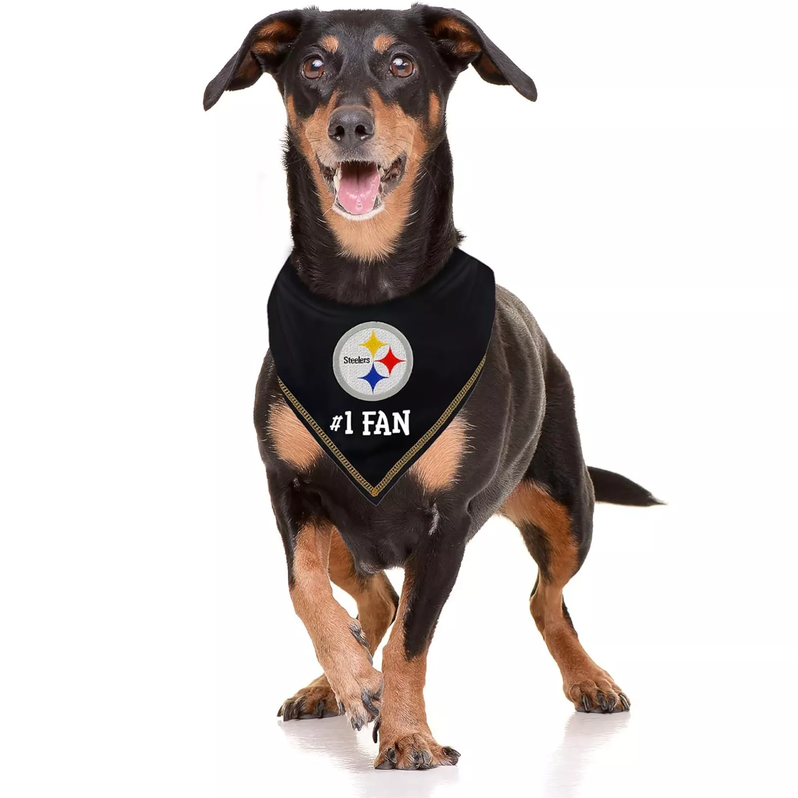 Pets First NFL Personalized Tie Bandana for Dogs & Cats Customizable Dog Bandana