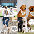 thumbnail image 5 of Bandana para perros, fotos de compromiso de boda, accesorios de bufanda para mascotas, accesorios para mascotas para amantes de los perros, paquete de 2, 5 of 5