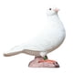thumbnail image 1 of Amante artificial Palomas de la paz Pájaro Imitación Pájaro Modelo Simulación Miniaturas para Paloma Blanca B, 1 of 7