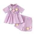 thumbnail image 1 of Zpanxa Girls Short Sets Ribbed Short Sleeve Top with Floral Print and Shorts 2 Piece Set 12 Months, 1 of 7