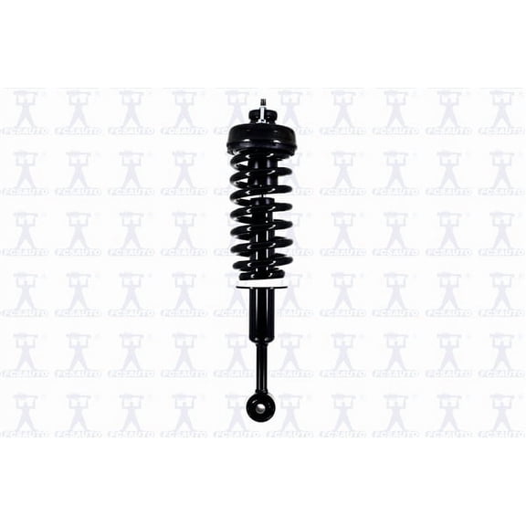 Suspension Strut and Coil Spring Assembly