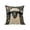 B, variant on Elainilye Animal Print Pillow 18x18 Inches Cute 3D Design for Sofa Bedroom and Living Room Decoration as Home Accent