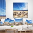thumbnail image 4 of Designart Herd of Zebras under Blue Sky - African Throw Pillow - 18x18, 4 of 5