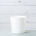 thumbnail image 4 of ZOPan Root & Vessel Majestic Full Depth Cylinder Pot, Glossy White, 14-Inch, 4 of 13