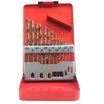 TEMO 10-Piece HSS Titanium Coated Router Bit Set - 1/8" Shank For Dremel & Rotary Tools