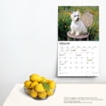 thumbnail image 4 of The Beauty of West Highland White Terriers | 2024 14x24" Wall Calendar | StarGifts, 4 of 8
