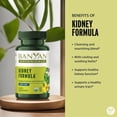 thumbnail image 4 of Banyan Botanicals Kidney Formula – Organic Kidney Supplement with Gokshura – Rejuvenating Herbal Blend to Support Kidneys and Urinary Tract Balance* – 90 Tablets – Non-GMO Sustainably Sourced Vegan, 4 of 8