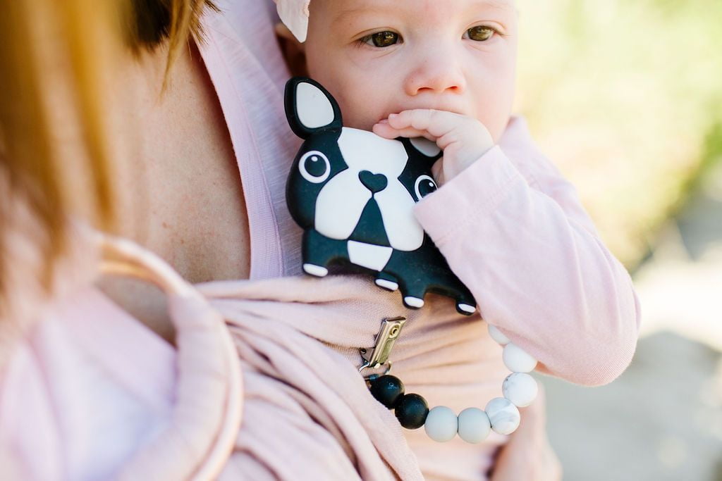 boston terrier teether