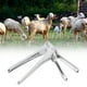 thumbnail image 2 of Dilatador de cabra para ovejas, espéculo vaginal, equipo de inseminación artificial, instrumento veterinario, 2 of 11