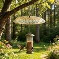 thumbnail image 4 of Hanging Bird Feeder Rain Guard Dome Cover Weather Proof Squirrel Baffle For Hummingbird Feeder Outdoor Bird Feeder Protection, 4 of 6
