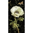 thumbnail image 3 of Nai, Danhui 11x18 Black Modern Framed Museum Art Print Titled - Jardin Paris Florals I, 3 of 5