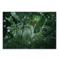 thumbnail image 3 of Rainforest Cutting Board, Tropical Rainforest Preservation Humidity Palm Tree Wild Environment Misty Nature, Decorative Tempered Glass Cutting and Serving Board, Small Size, Green, by Ambesonne, 3 of 5
