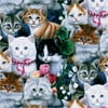 David Textiles Valentines Kitties - 44"