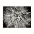 thumbnail image 2 of Gango Home Decor Goat's Beard 3 by Jim Christensen (Printed on Paper); One 24x18in Fine Art Paper Giclee Print, 2 of 4
