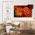 thumbnail image 5 of Elephant Stock Marigold Flowers Wall Art - Horizontal Canvas Wall Art - Living Room Wall Decor - Floral And Botanical Canvas - Orange And Teal Decor - 39" x 26", 5 of 8
