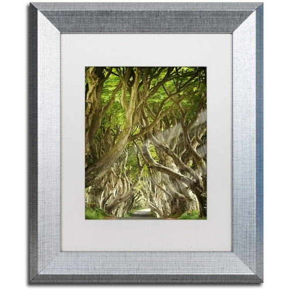 Trademark Fine Art "The Way It Is" Canvas Art by Philippe Sainte-Laudy, White Matte, Silver Frame