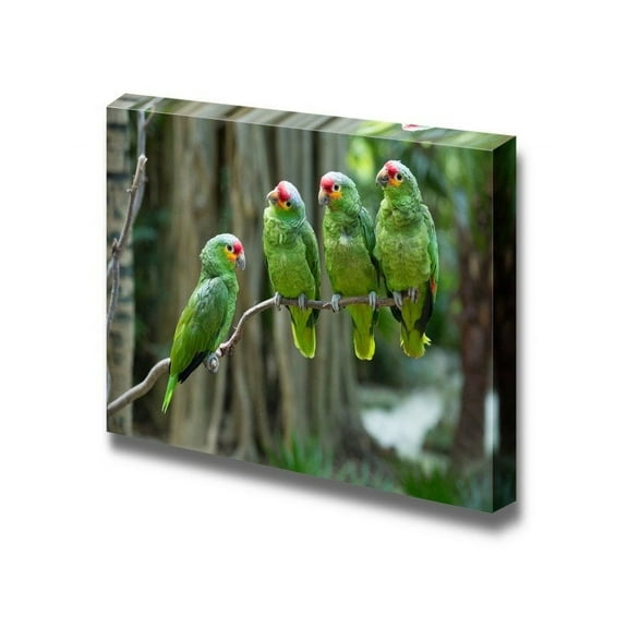 Canvas Prints Wall Art - Four Green Parrot Birds Sitting on The Perch | Modern Wall Decor/Home Decoration Stretched Gallery Canvas Wrap Giclee Print & Ready to Hang - 32" x 48"