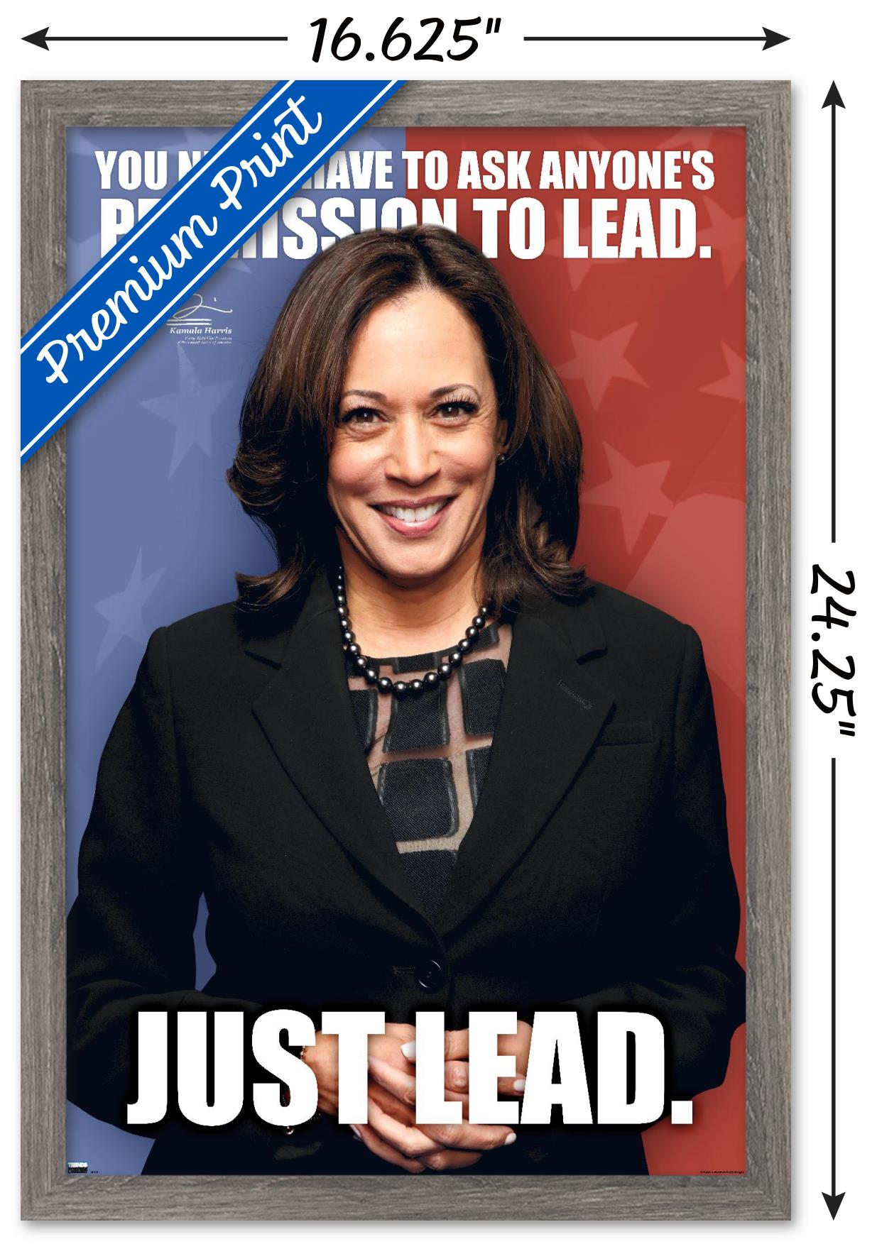 Trends International Kamala Harris - 2021 Vice President Wall Poster 16.5" x 24.25" x .75" Barnwood Framed Version