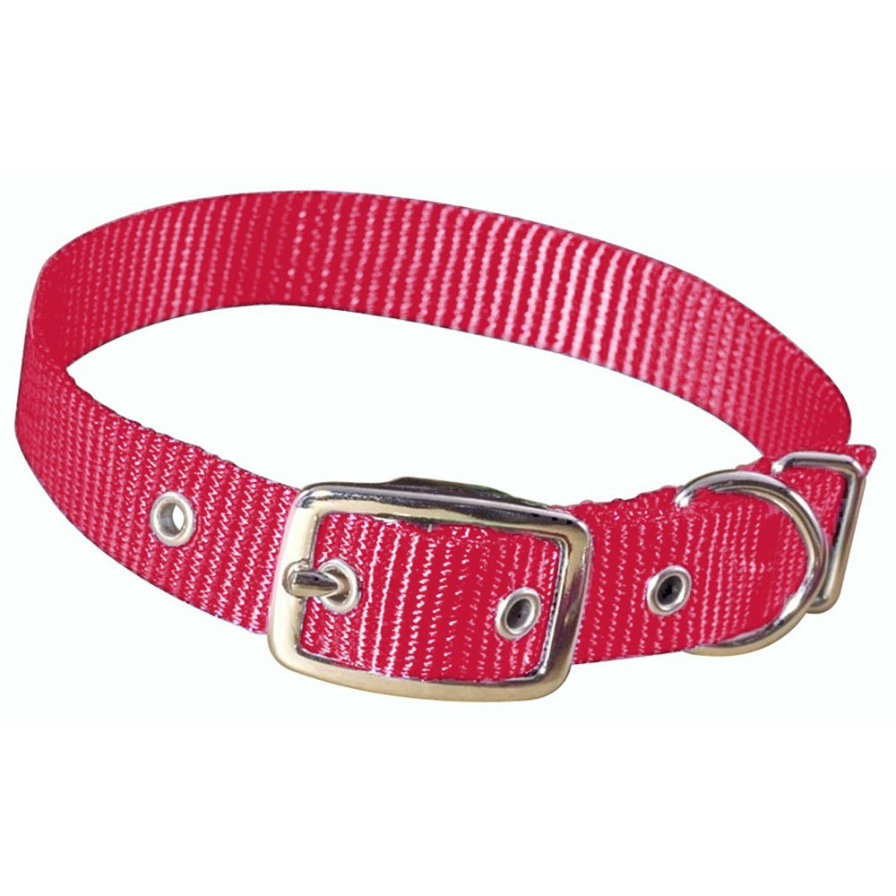 hamilton 5/8inch by 12inch single thick nylon deluxe dog collar