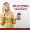 thumbnail image 6 of Blessed Sea Moss Gel - (Berries Mango Pineapple) Superfood Rich in Vitamins & Minerals, 6 of 6