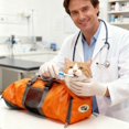 thumbnail image 2 of Bolsa de aseo para gatos Cinf naranja talla M con sujeción para corte de uñas, 2 of 9