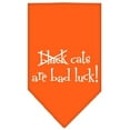 thumbnail image 4 of Halloween Pet and Dog Bandana Screen Printed, "Black Cats are Bad Luck", 4 of 10