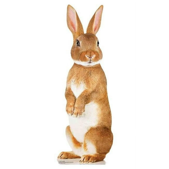 Star Cutouts SC1120 Cute Rabbit Cardboard Cutout