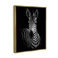 thumbnail image 3 of Stupell Industries Striking Greyscale Monochrome Zebra Photography Portrait Metallic Gold Framed Floating Canvas Wall Art, 16x20, by Incado, 3 of 5