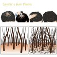 thumbnail image 3 of 10 Colors Thickening Hair Fiber Powder 50g Hair Fibers Building Extensions Powder Hair Loss Concealers, 3 of 5