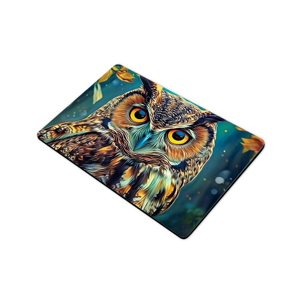 Shiartex Owl Theme Floor Mat Rug for Home Entrance, Durable Non-Slip Indoor Outdoor Doormat 24x16in