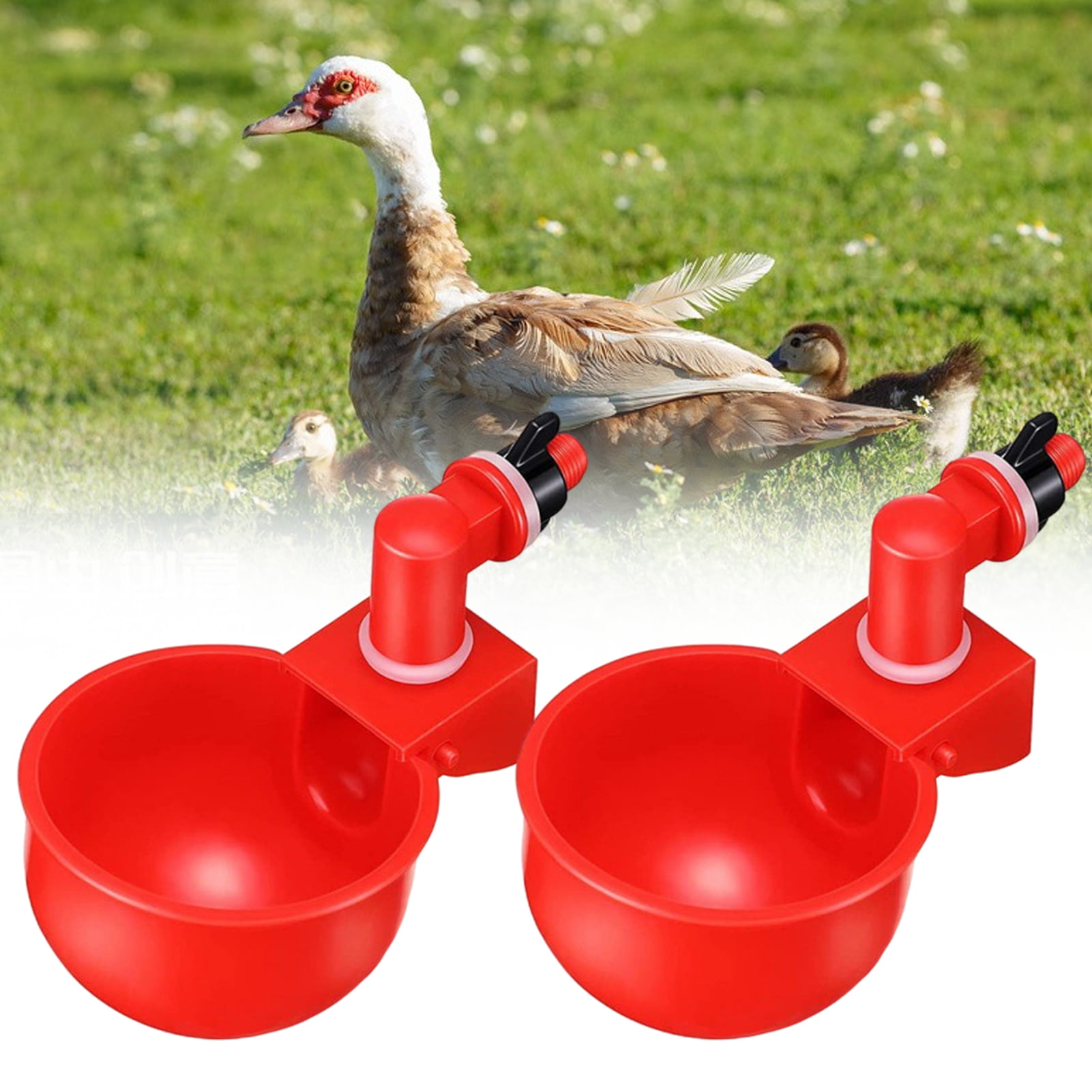 Float Valve,chicken,quail,turkey Automatic Drinker Bucket KIT,Cups,Hose Adapter 