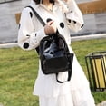 thumbnail image 5 of SRstrat Clear Mini Backpack Stadium Approved,Transparent Backpack, Transparent Backpack, Beach For Sports Activities And Games In Concert Festival For Work Festival Security Travel, 5 of 6