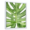 thumbnail image 3 of Designart 'Close Up Green Monstera Leaf Tropical Palm' Tropical Framed Canvas Wall Art Print, 3 of 5