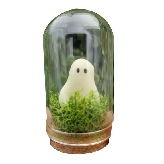 Clearance Under $3.29! 1 Pack Glowing Ghost in a Bottle, Luminous Halloween Jar Decor, for Tabletop Display