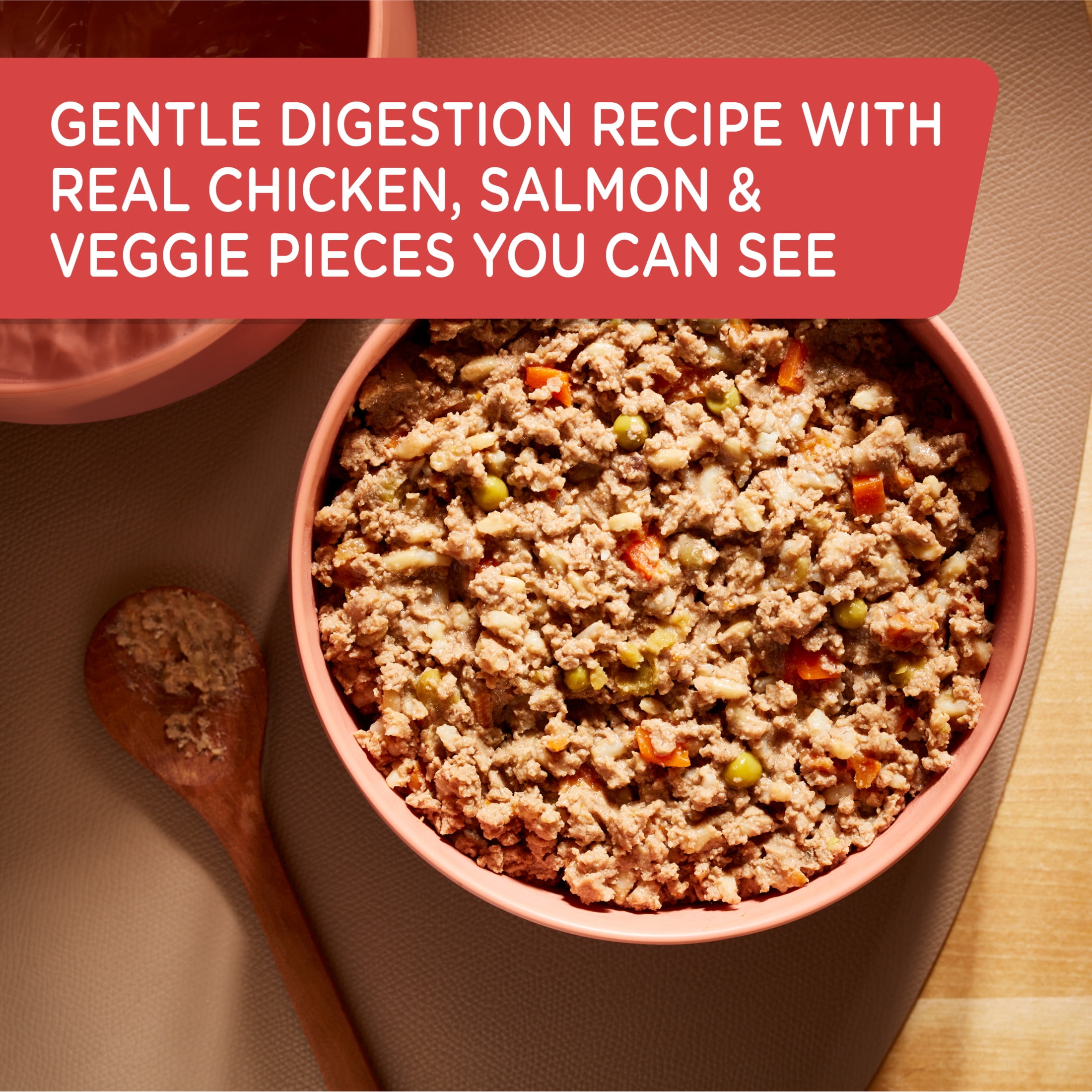 (12 pack) Rachael Ray Nutrish Premium Paté Gentle Digestion Real Chicken, Pumpkin & Salmon Recipe Wet Dog Food, 13 oz. Can