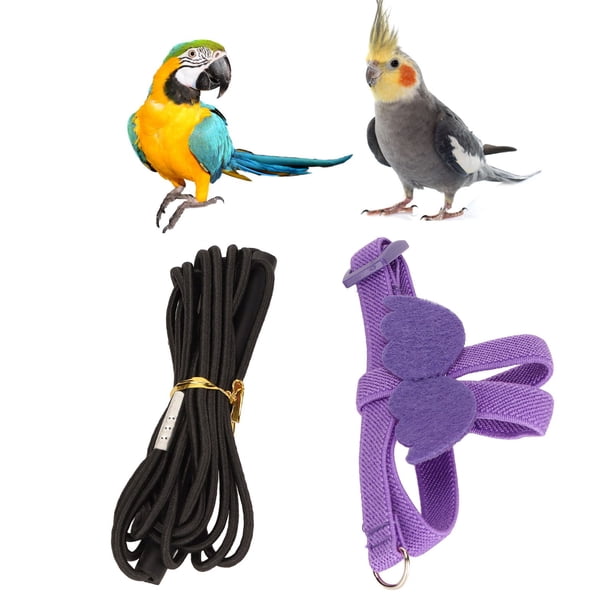 Arnés Volador de Aves Cuerda de Tracción, Diseño de Ala Púrpura Loro Ajustable Ajustable Mazo de Pájaros Correa Ergonómica Con Comomodo para Pájaros