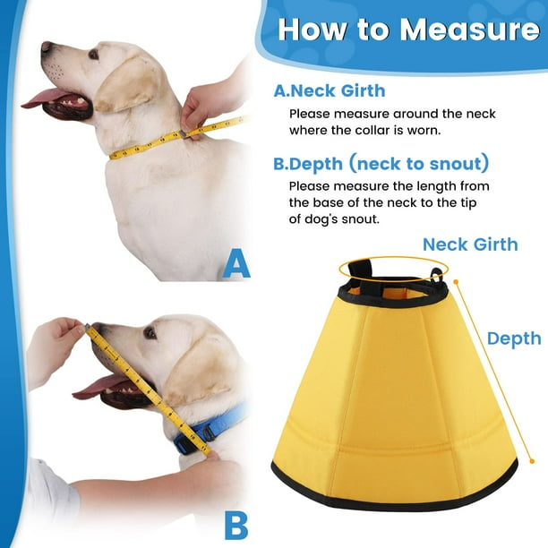 Dog cone top walmart canada