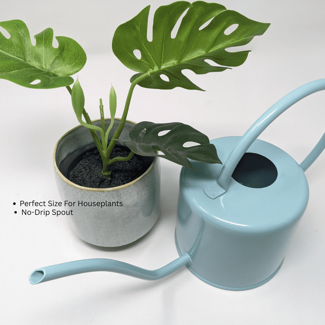 Down to Earth Basics Heavy Gauge Metal Watering Can, 1.5 Liter, Painted Teal – Indoor & Outdoor Garden Use