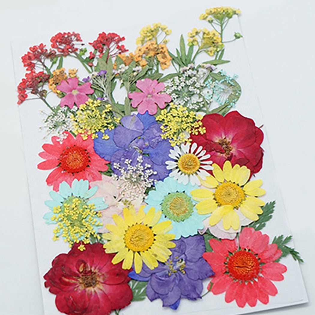 33 Piece Multi-colored Variety #3 Dried Pressed Real Natural Flowers For  Epoxy & UV Resin Art