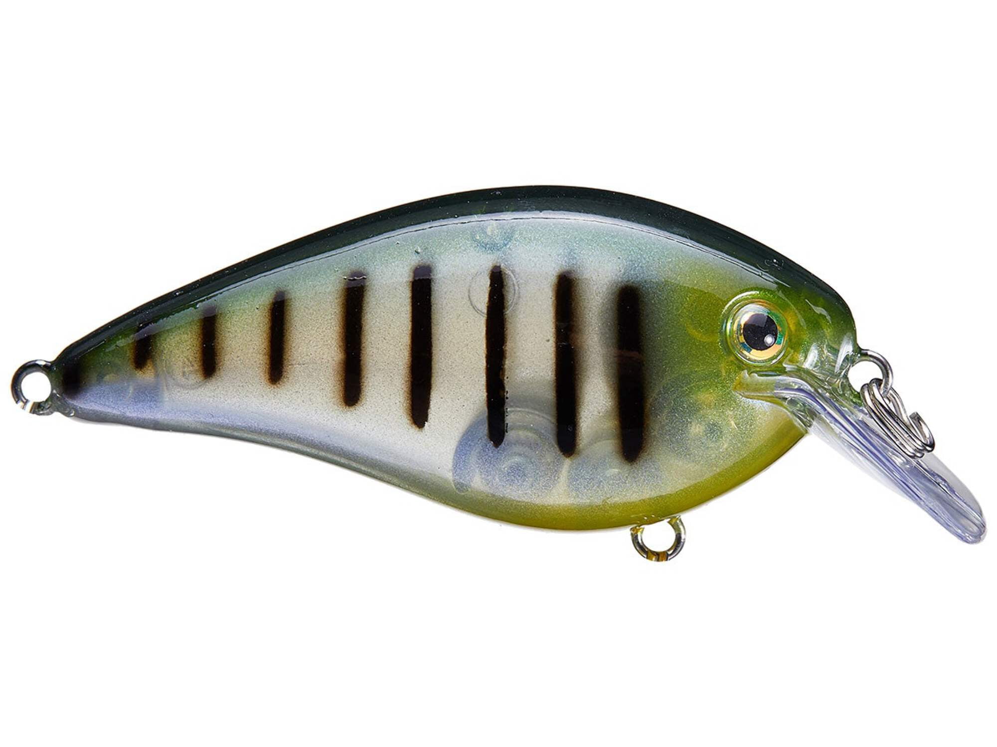 Strike King KVD Square 2.5 Citrus Shad