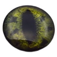 thumbnail image 7 of Green Alligator Glass Eyes, 7 of 7