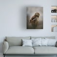 thumbnail image 3 of Trademark Fine Art Michaela Firesova Morning with owl Canvas Wall Art, 3 of 4